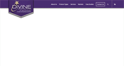 Desktop Screenshot of divineindustrialsales.com